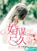 婚谋已久陆先生请宠我