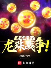 圣杯战争?龙珠战争!无错