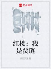 红楼我是贾琏女主有几个