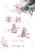 妻不识夫原文及翻译