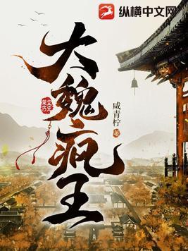 大魏疯王怎么断更了