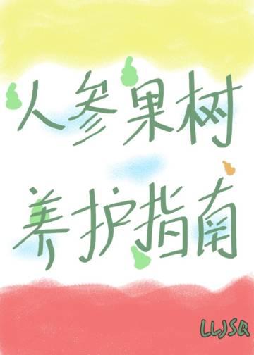 人参果树苗好养吗