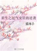 重生之过气小鲜肉