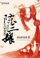 大宋宠妃陈三娘简介