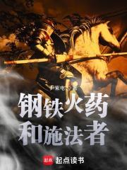 钢铁火药和施法者百度