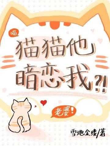 猫咪喜欢你表现