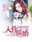 入骨暖婚全部目录
