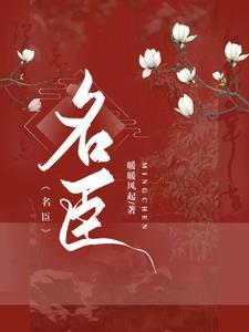 穿越女扮男装权臣