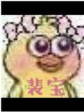 裴宝by池袋笔趣阁