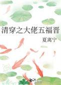 清穿大福晋晋江