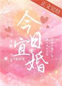 今日宜婚陈溪午全文免费阅读