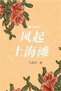 风起上海滩短剧免费观看高清版