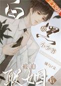 白切黑男主