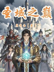 圣域啥意思