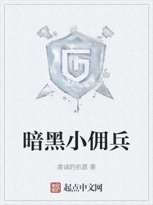 暗黑佣兵用哪个