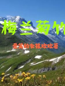 梅兰竹菊象征的意义是什么