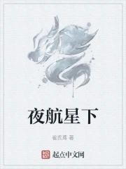 夜航星mv