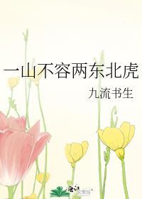 一山不容二虎 二山