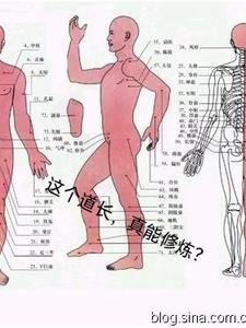 真能修炼