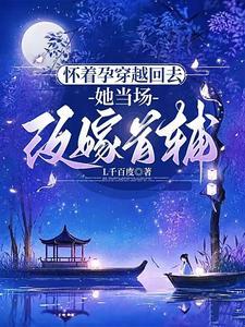 穿越成孕妇皇后晋江