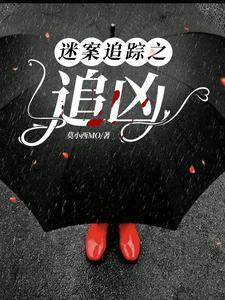 电影迷案追凶