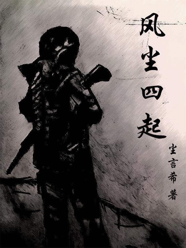 风尘fc