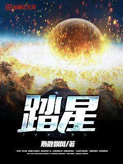 踏星笔趣阁无弹窗阅读