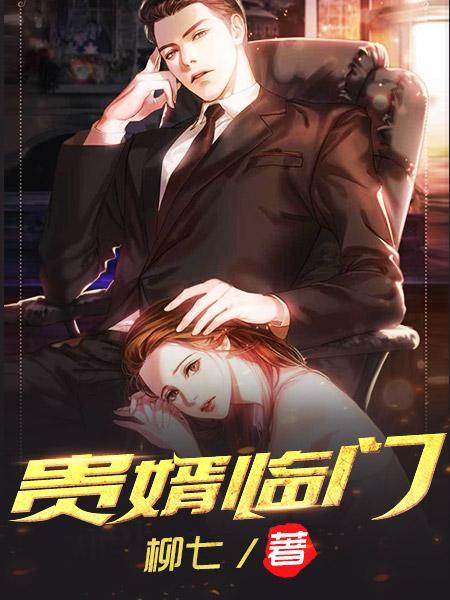 贵婿临门总共有多少章
