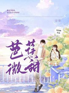 芭蕉蕉谈