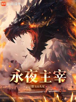 永夜领主