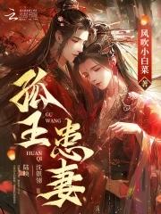 孤王患妻同类型