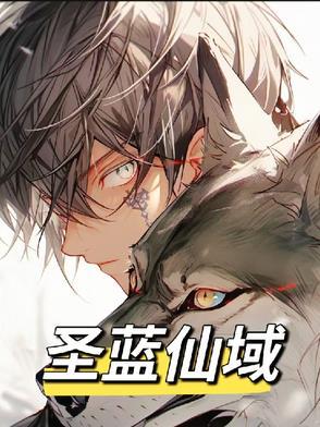 仙域化圣以后怎么加属性