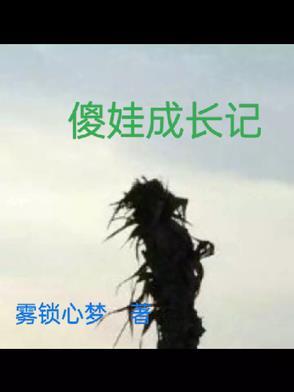 傻小孩txt擂文