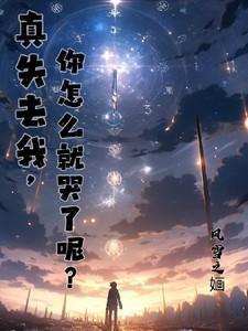 失去你我真的不愿意什么歌