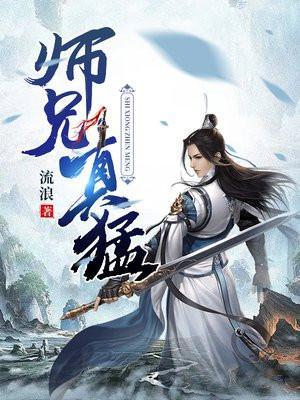师兄真猛流浪为啥停更