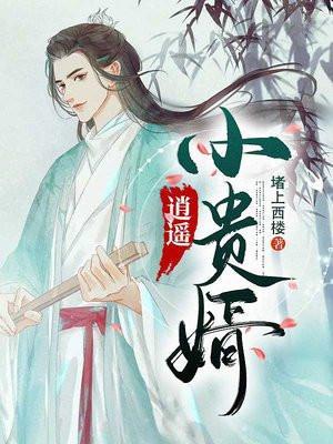 逍遥小贵婿李辰安宁楚楚
