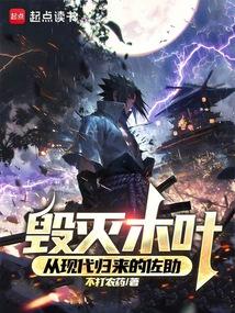佐助摧毁木叶成功了吗?