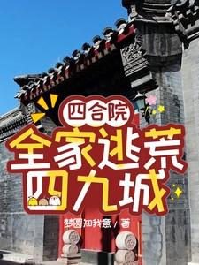 四合院全家逃荒四九城免费观看