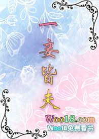 一妾皆夫完结