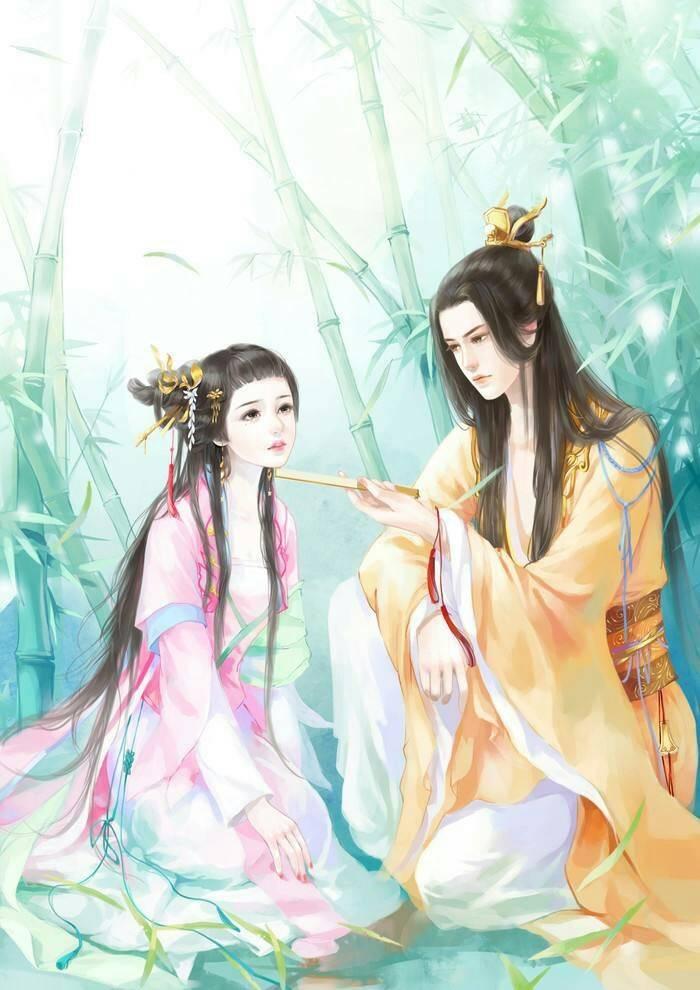 主角沈微雪