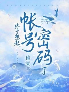 账号和密码忘记了怎么办
