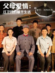 父母爱情分集介绍