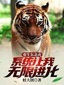 系统让我无限进化免费阅读