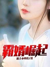 霸婿崛起有声