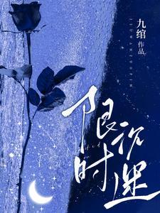 限时沉迷TXT