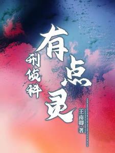 刑侦12有点看不懂