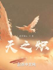 天之炽3