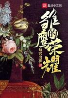雏鹰的荣耀 百科