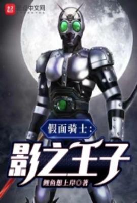 假面骑士最光影子