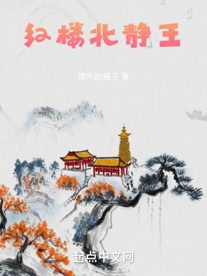 红楼北静王TXT